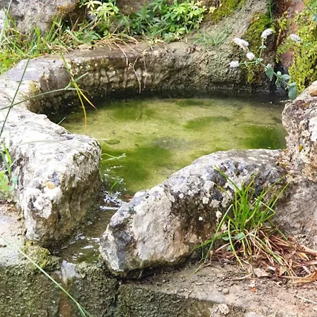Casa Janelinhas - Near Sintra, Mafra, Ericeira Дом отдыха *