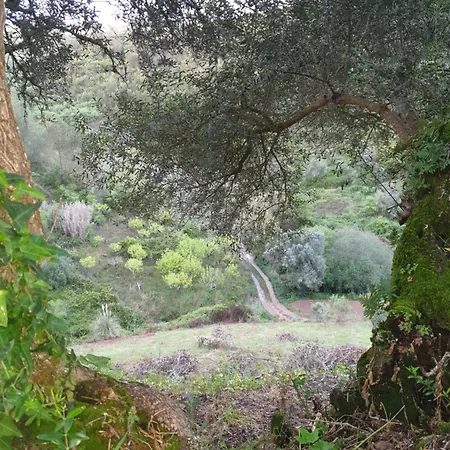 Casa Janelinhas - Near Sintra, Mafra, Ericeira * Мафра