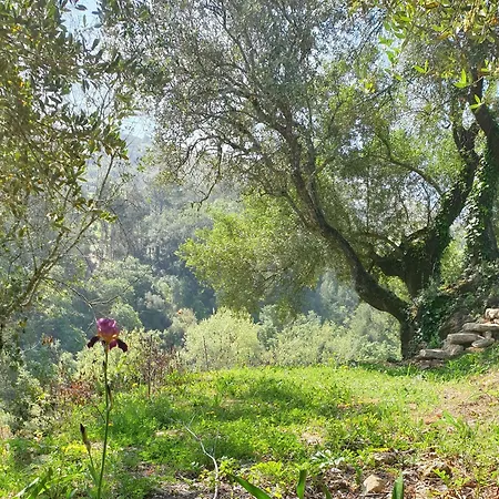 Casa Janelinhas - Near Sintra, Mafra, Ericeira *