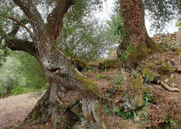 펜션 Casa Janelinhas - Near Sintra, Mafra, Ericeira *