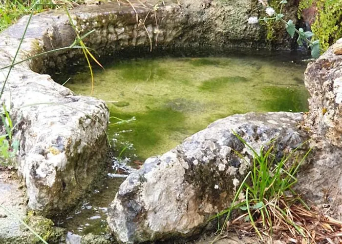 Casa Janelinhas - Near Sintra, Mafra, Ericeira Hébergement de vacances *