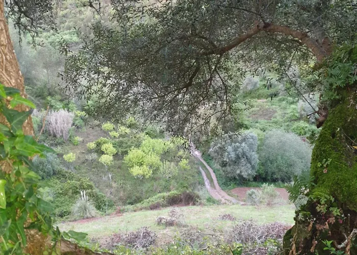 Casa Janelinhas - Near Sintra, Mafra, Ericeira * 마프라