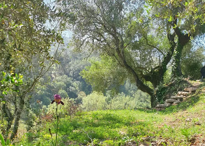 Casa Janelinhas - Near Sintra, Mafra, Ericeira *