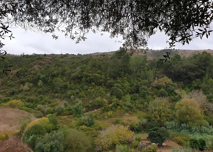 Casa Janelinhas - Near Sintra, Mafra, Ericeira