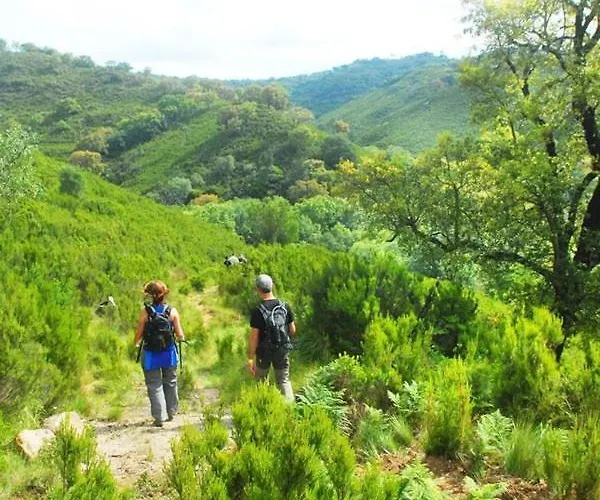 Hébergement de vacances Casa Janelinhas - Near Sintra, Mafra, Ericeira *